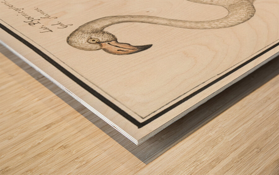 Flamingo in vintage style Wood print