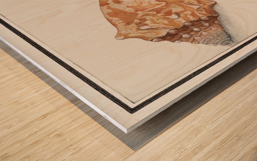 Flamingo in vintage style Wood print