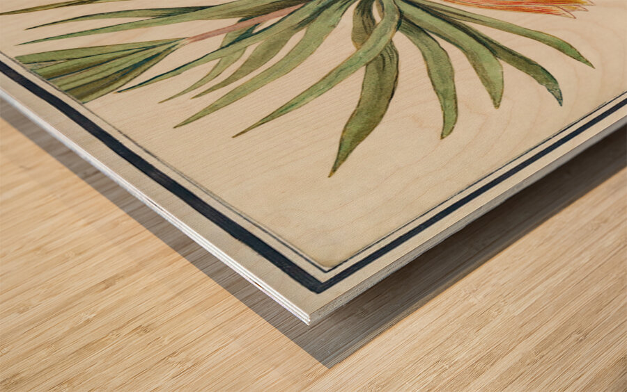 Kaisers crown in vintage style Wood print