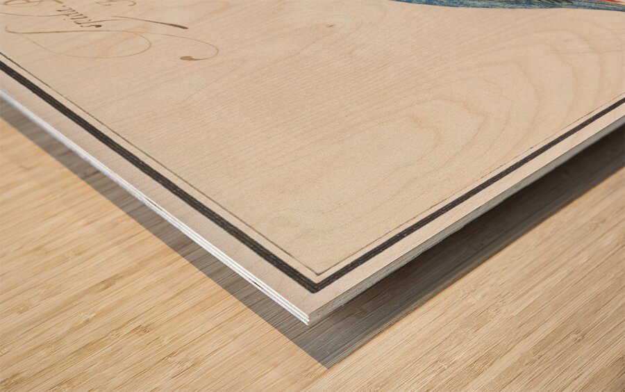 Kingfisher in vintage style Wood print