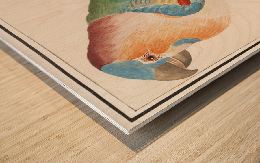 Swan in vintage style Wood print