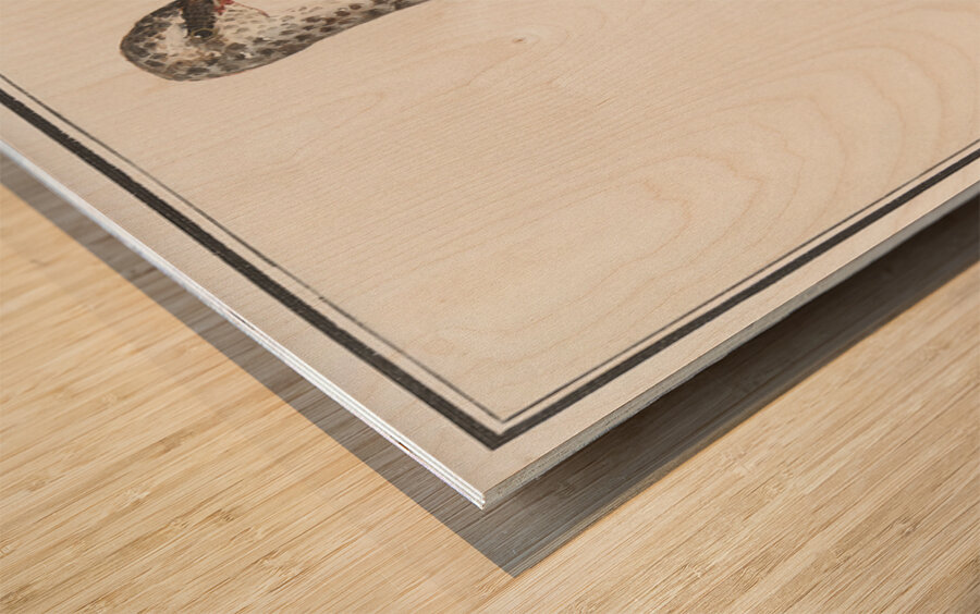 Redshank in vintage style Wood print