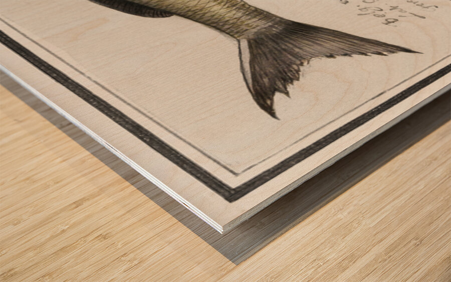 Houting in vintage style Wood print