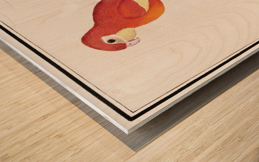 Houting in vintage style Wood print