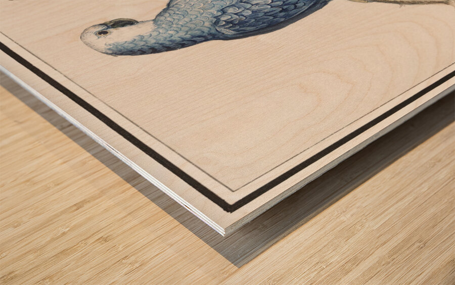 Grey parrot in vintage style Wood print