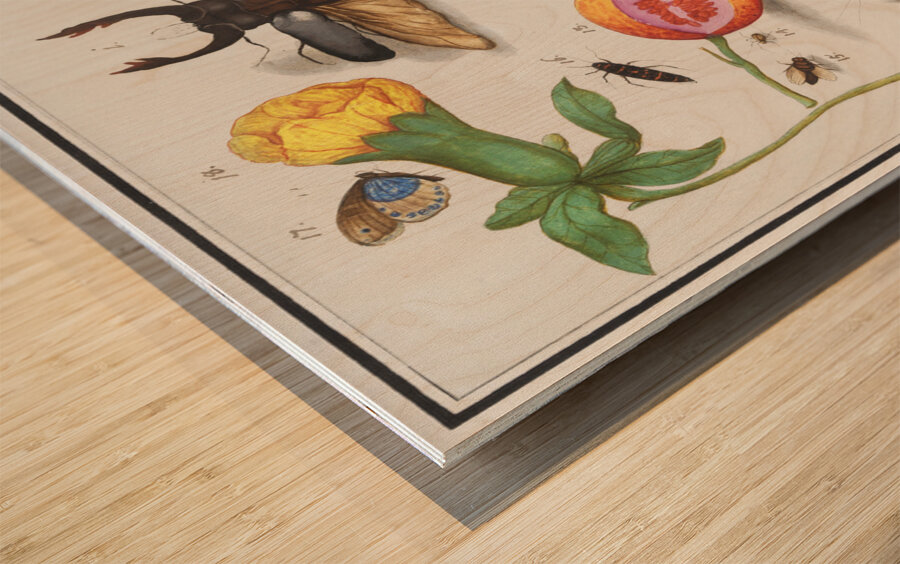 Nature ensemble in vintage style Wood print