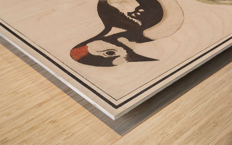 Great spotted woodpecker in vintage style Wood print