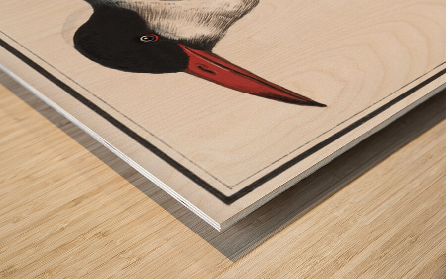 Tern in vintage style Wood print