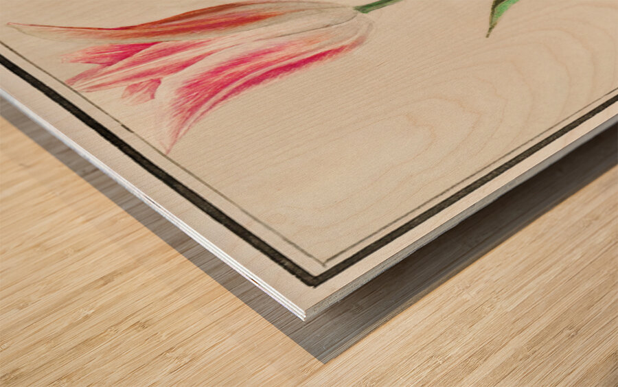 Tulip in vintage style Wood print