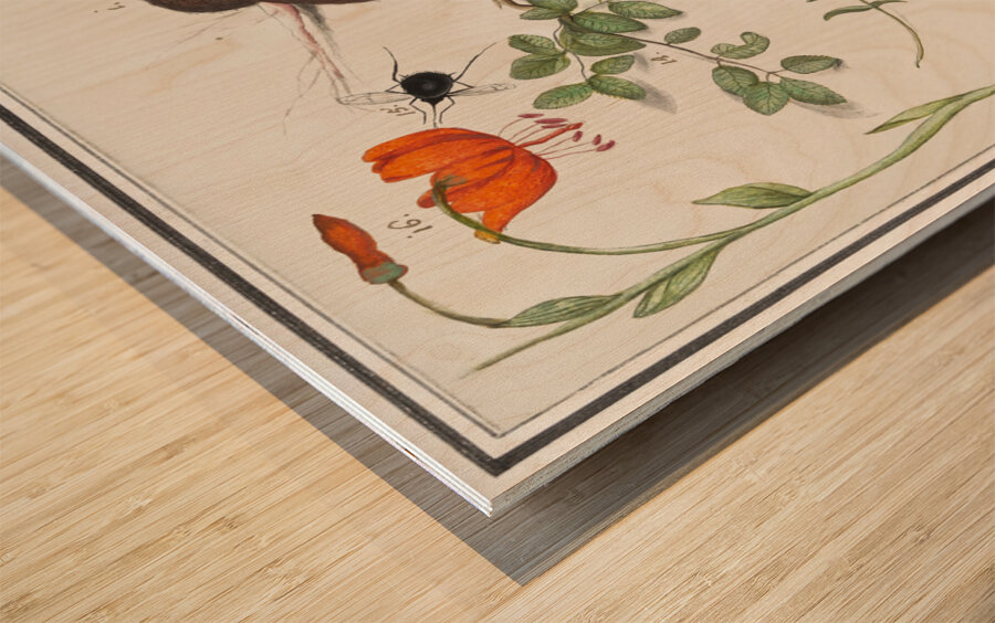 Nature ensemble in vintage style Wood print