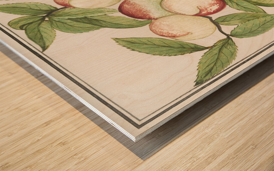 Tulip in vintage style Wood print