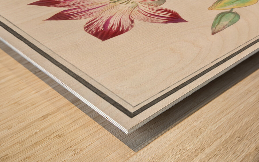 Tulip in vintage style Wood print