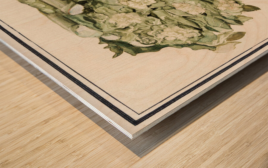 Cauliflower in vintage style Wood print