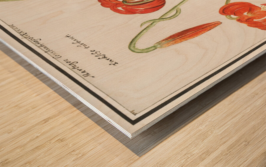 Red lily in vintage style Wood print