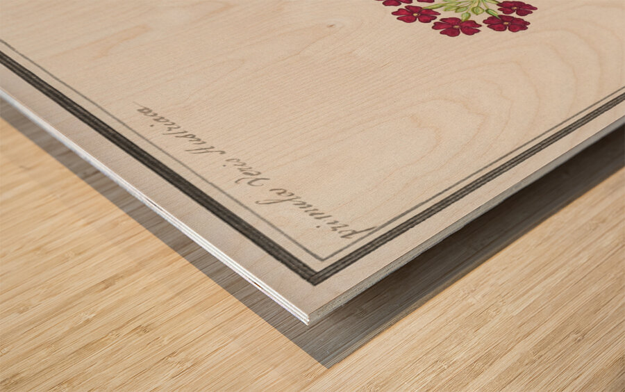 Primrose in vintage style Impression sur bois