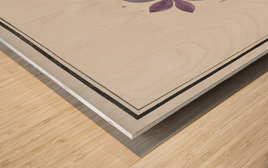 Saffron flower and yellow crocus Wood print