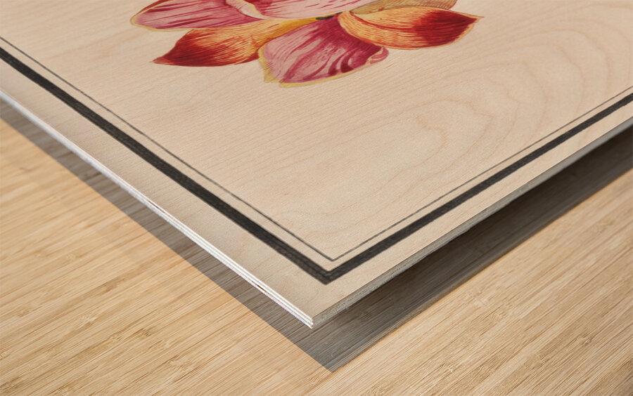 Tulip in vintage style Wood print