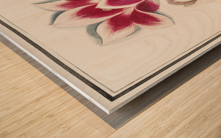 Tulip in vintage style Wood print