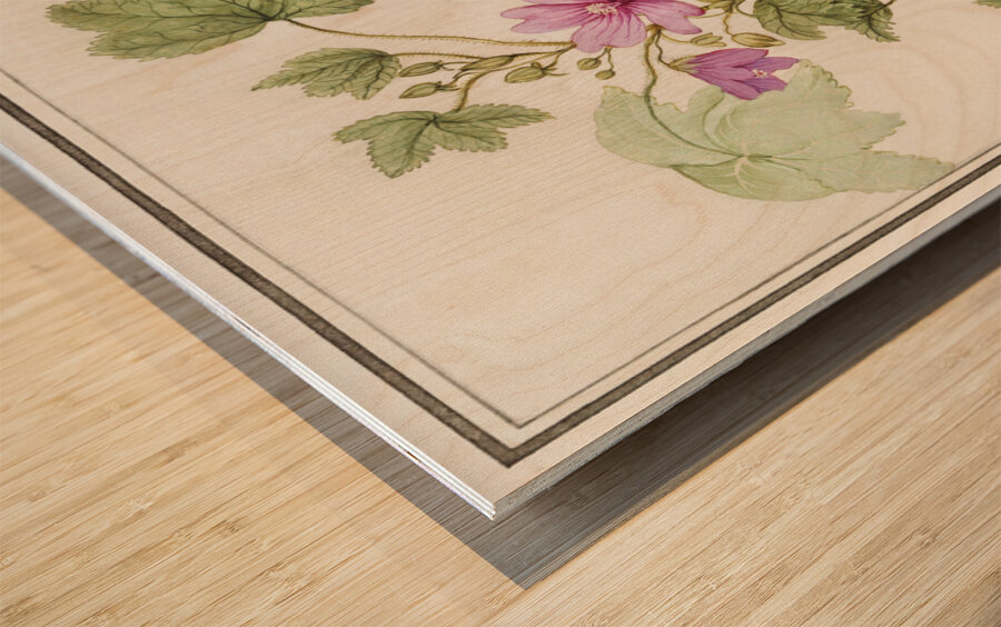 Tulip in vintage style Wood print