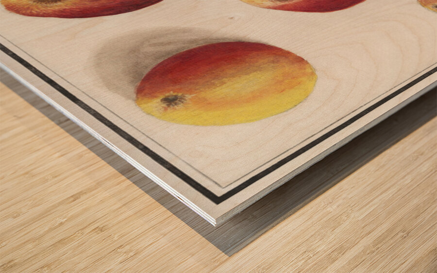 Apple in vintage style Wood print