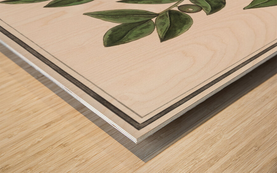 Olive in vintage style Wood print