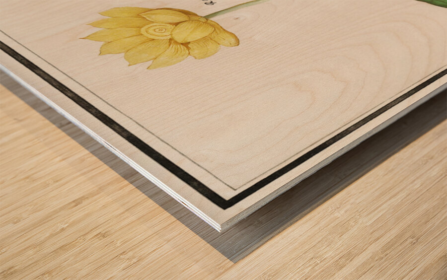 Yellow floppy in vintage style Wood print