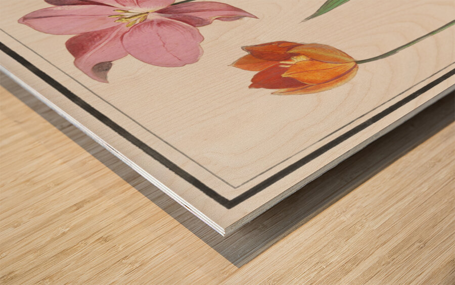 Tulip in vintage style Wood print