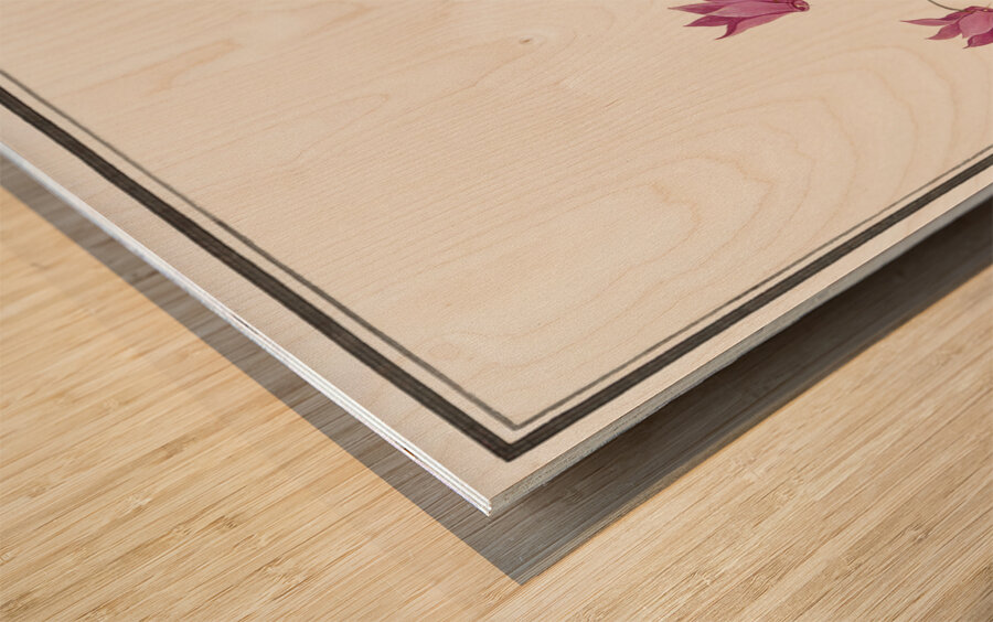 Cyclamen in vintage style Wood print