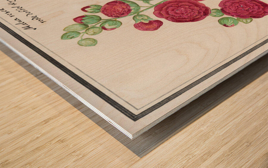 Cyclamen in vintage style Wood print