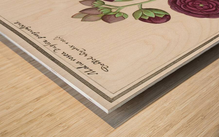 Alcea in vintage style Wood print