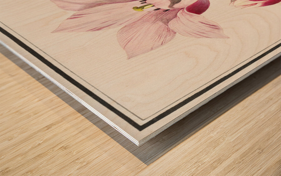 Tulip in vintage style Wood print