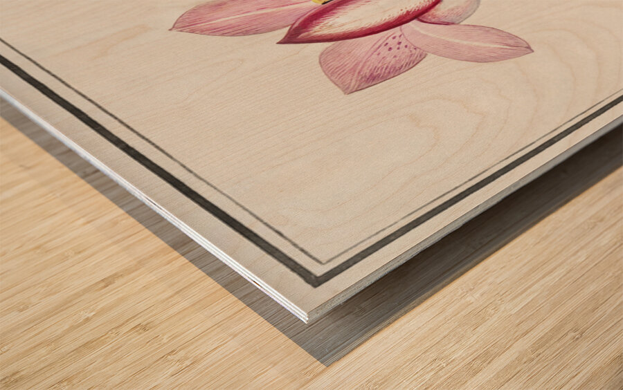 Tulip in vintage style Wood print