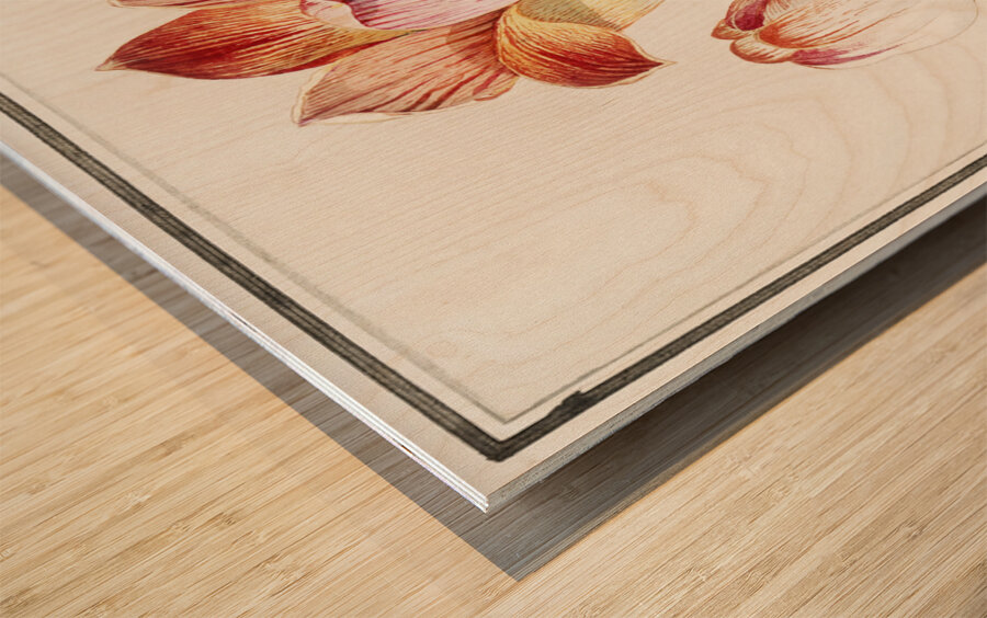 Tulip in vintage style Wood print