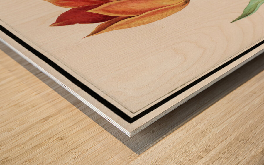 Tulip in vintage style Wood print