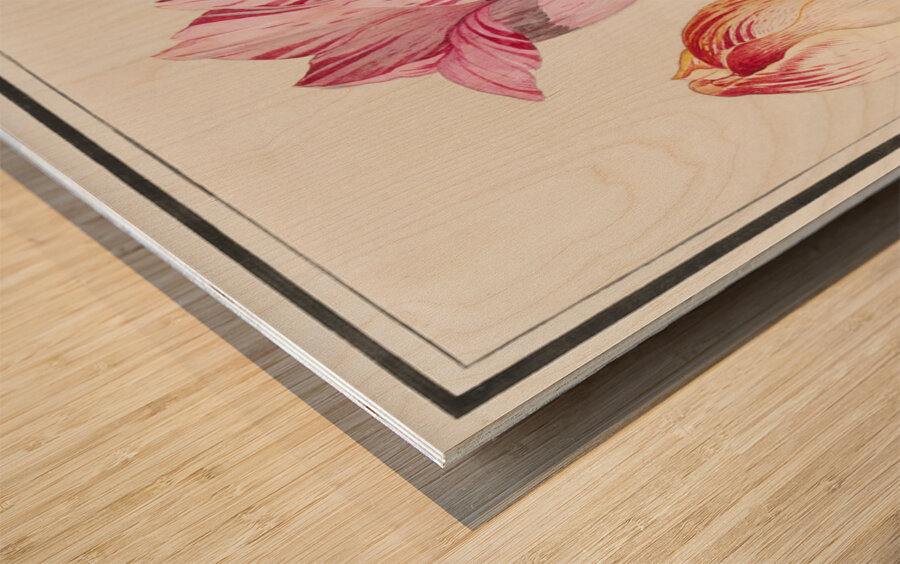 Anemone in vintage style Wood print