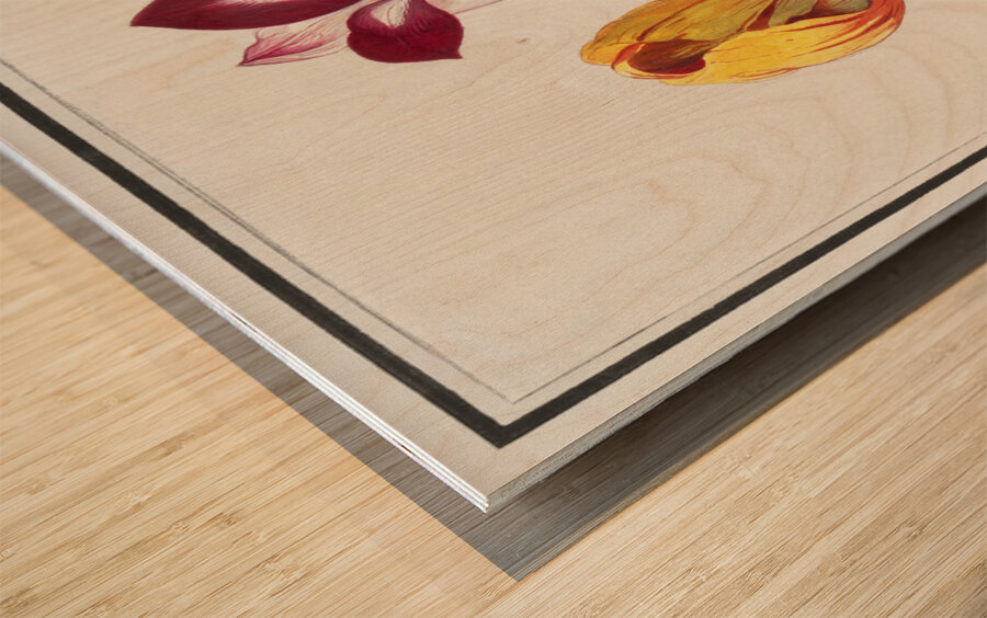 Tulip in vintage style Wood print