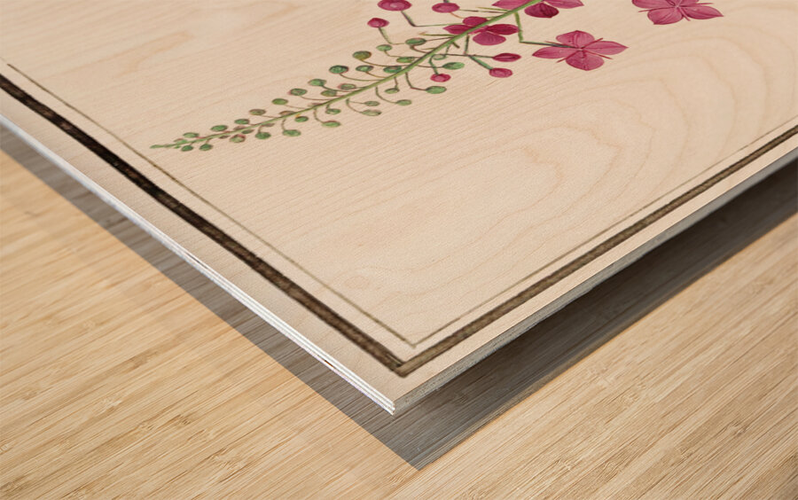 Willowherb in vintage style Wood print