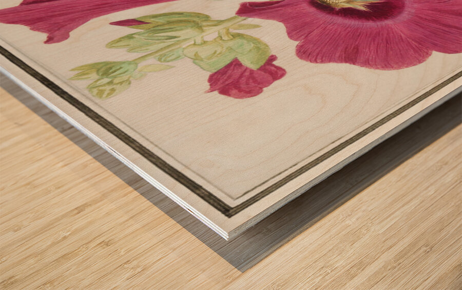 Alcea in vintage style Wood print