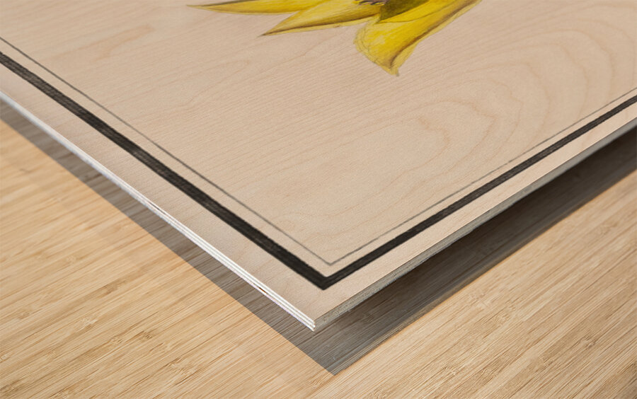 Tulip in vintage style Wood print