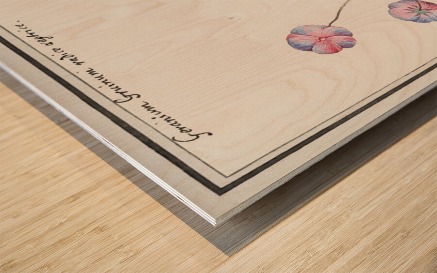 Geranium in vintage style Wood print