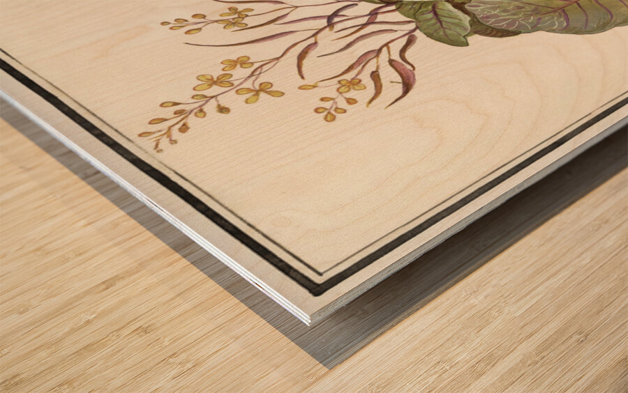 Cabbage in vintage style Wood print