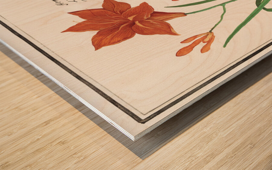 Orange daylily in vintage style Wood print