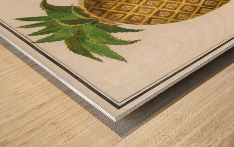 Pineapple in vintage style Wood print