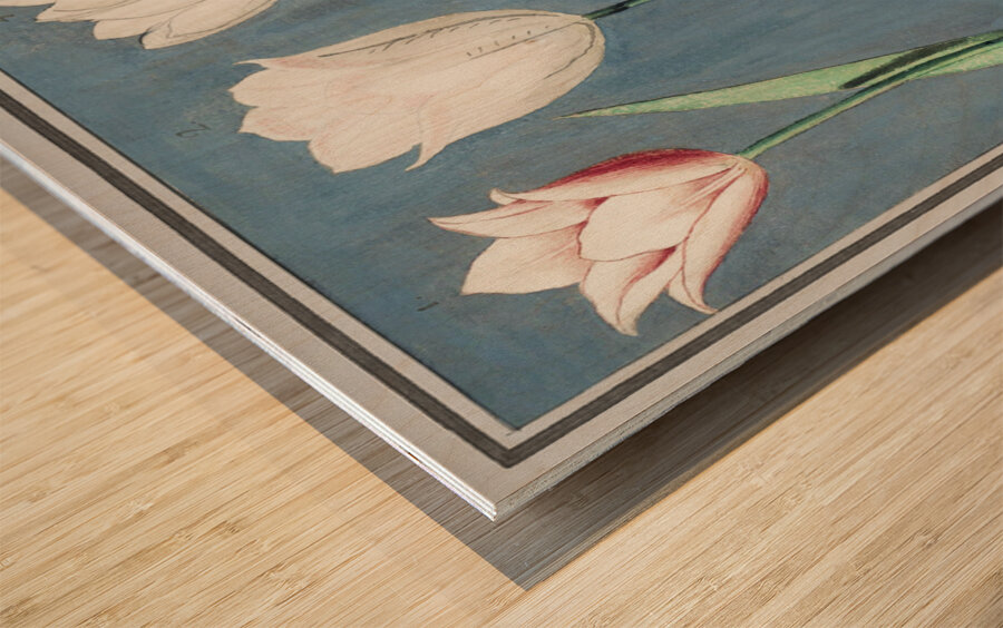 Tulip in vintage style Wood print