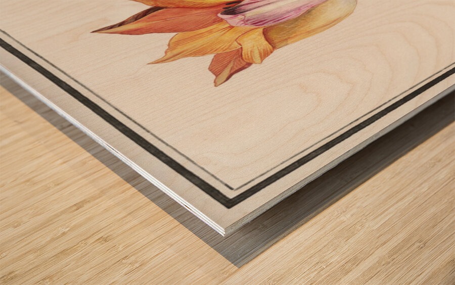 Tulip in vintage style Wood print