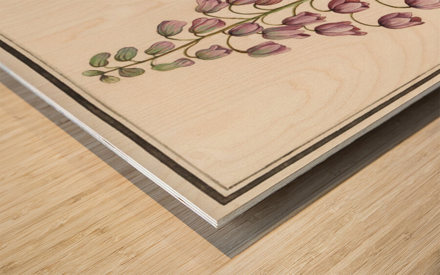 Persian lily in vintage style Wood print