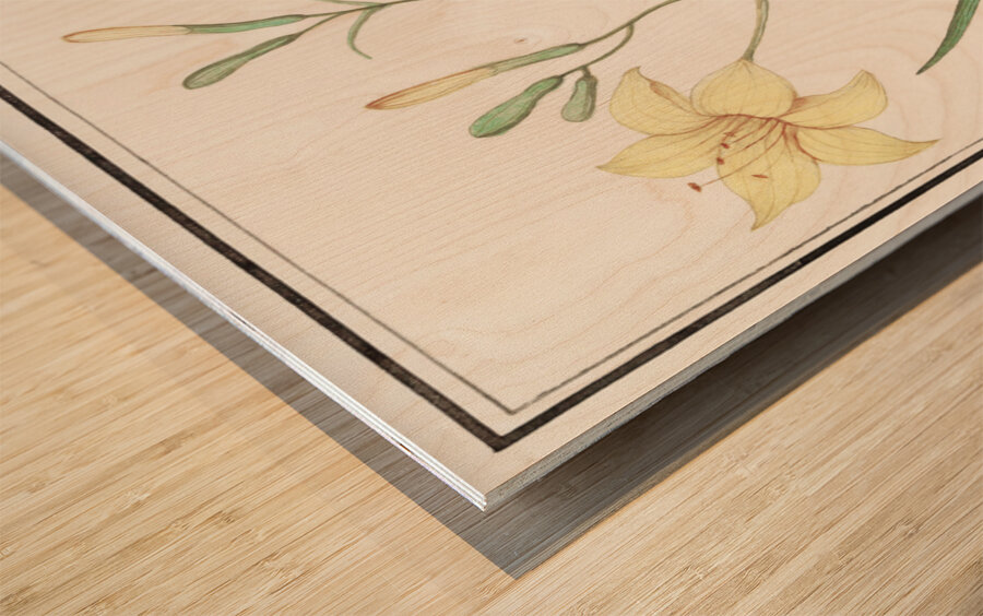 Yellow lily in vintage style Wood print