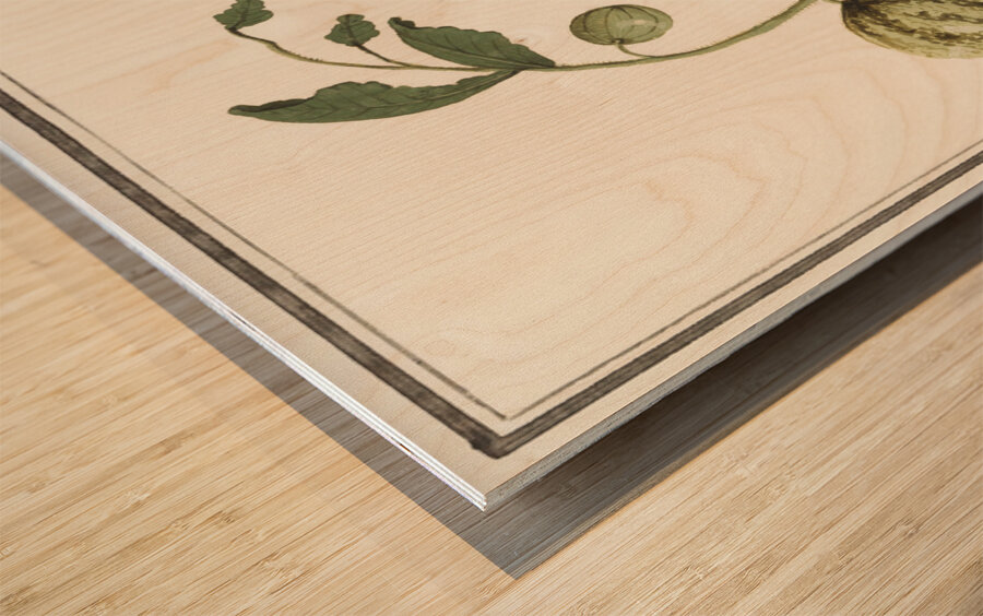 Watermelon in vintage style Wood print