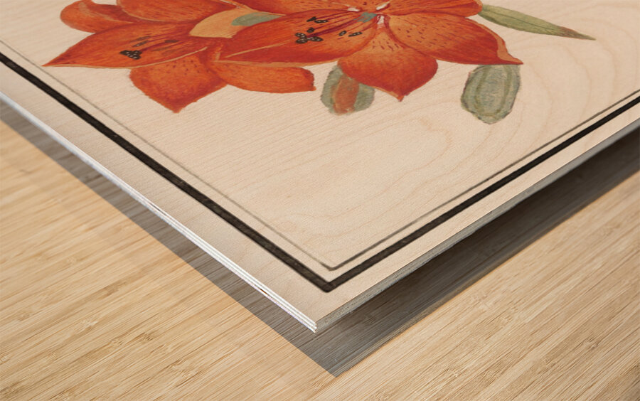 Red lily in vintage style Wood print