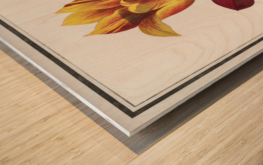 Tulip in vintage style Wood print